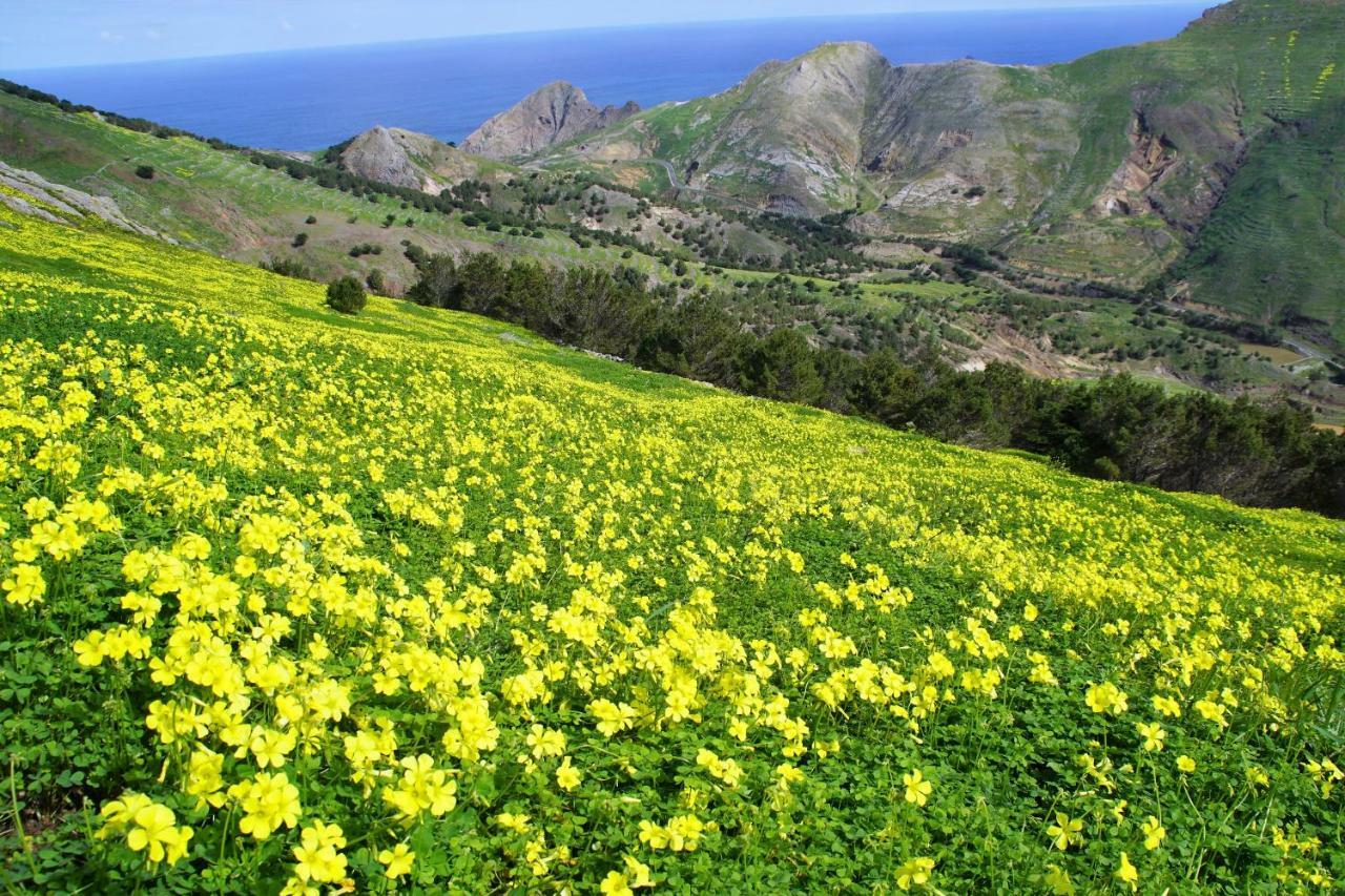 Porto Santo - Pedras Pretas Beach House Екстериор снимка